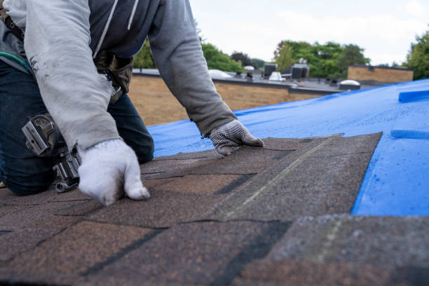 Best Roof Gutter Cleaning  in Emory, VA