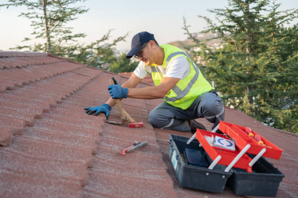 Best Roof Leak Repair  in Emory, VA